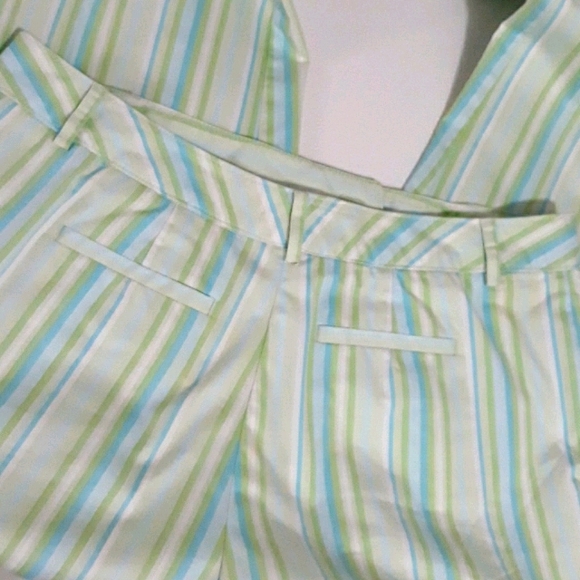 TALBOTS Striped Stretch Flat Front Straight Leg Pants - Picture 8 of 9